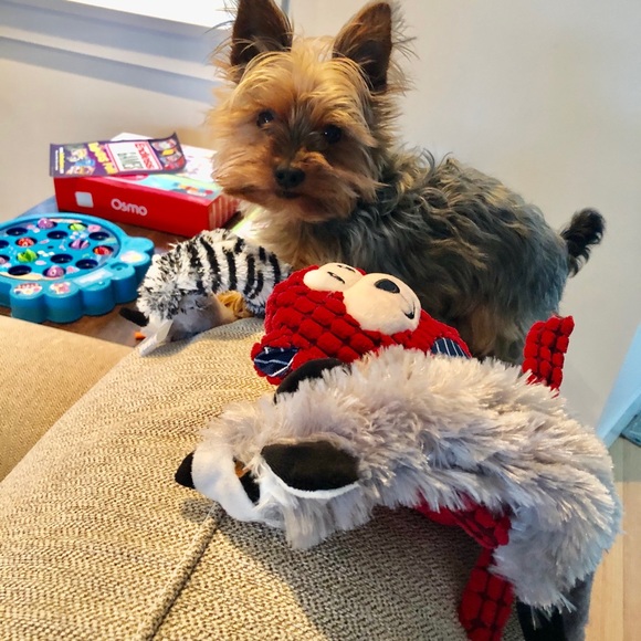 Meet your Posher, Hong - Picture 1 of 1